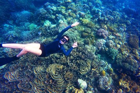 Lombok Gili Trawangan Gili Meno Gili Air Snorkeling Tour Harga