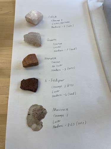 Mineral Rock Classification SEDIMENTARY Flashcards Quizlet