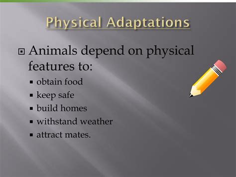 PPT - Physical Adaptations PowerPoint Presentation, free download - ID ...