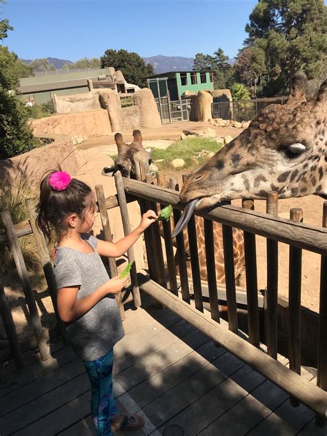 The Santa Barbara Zoo Was A Blast Santa Barbara Zoo Santa Barbara