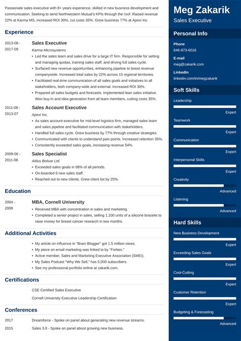 Best Executive Resume Template And 20 C Level Examples