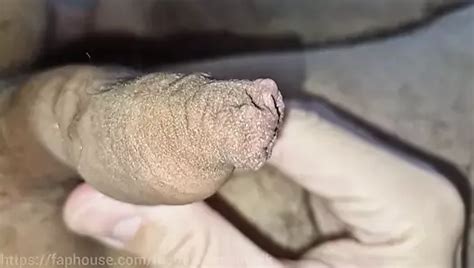 Orgie Gay Pornovideo S XHamster