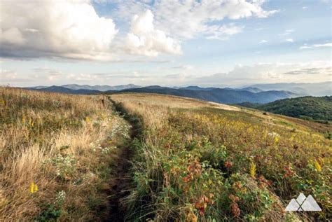 Roan Mountain hiking: Roan Highlands and Appalachian Trail