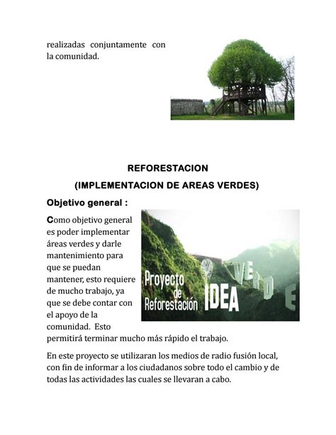 Proyecto De Reforestaci N Escamillas By Jesusescamilla Issuu