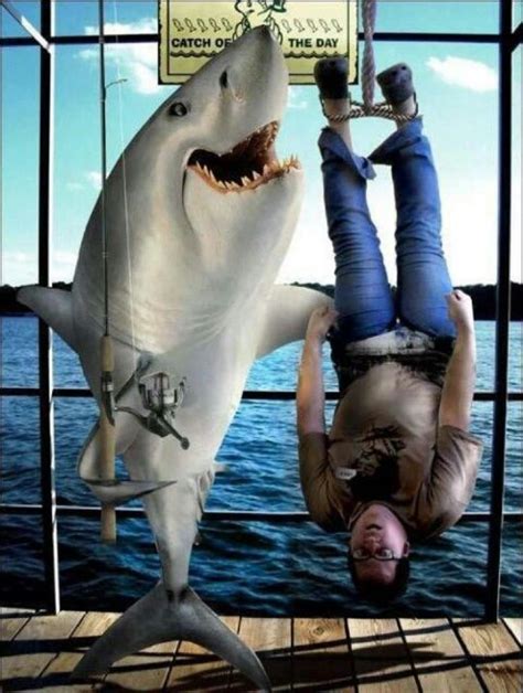 A Man Hanging Upside Down On A Fake Shark