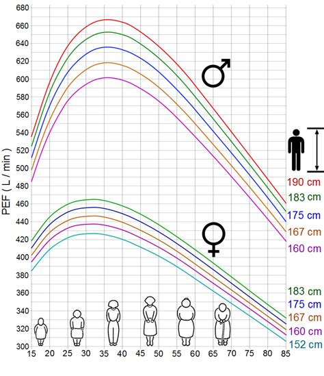 View 10 Normal Peak Flow Trendqlock