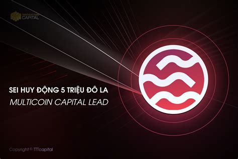 Sei huy động được Seed sales 5 triệu đô la do Multicoin Capital lead