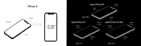 Подходят ли чехлы от iPhone X к iPhone XR — Подробный обзор