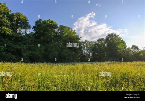 Landscape in the countryside. Scenic summer nature view in Latvia, East Europe Stock Photo - Alamy