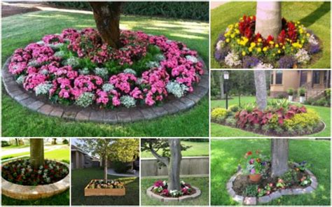 Eye Catching Flower Beds Around Trees You Need To See Top Dreamer