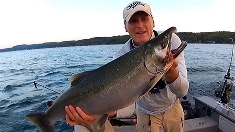 Michigan Coho Salmon On Downrigger YouTube