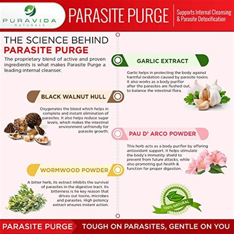 Parasite Colon Cleanse Recipes – Besto Blog