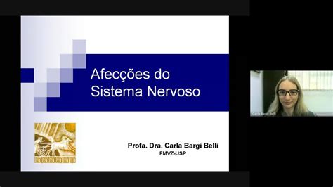 E Aulas Da Usp Doenças Do Sistema Nervoso De Equinos