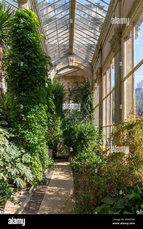 Interior of The Orangery at Castle Ashby Gardens, UK; built in 1872 to ...