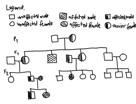 Solved Remember That Colour Blindness In Humans Is A Sex Linked Trait Course Hero