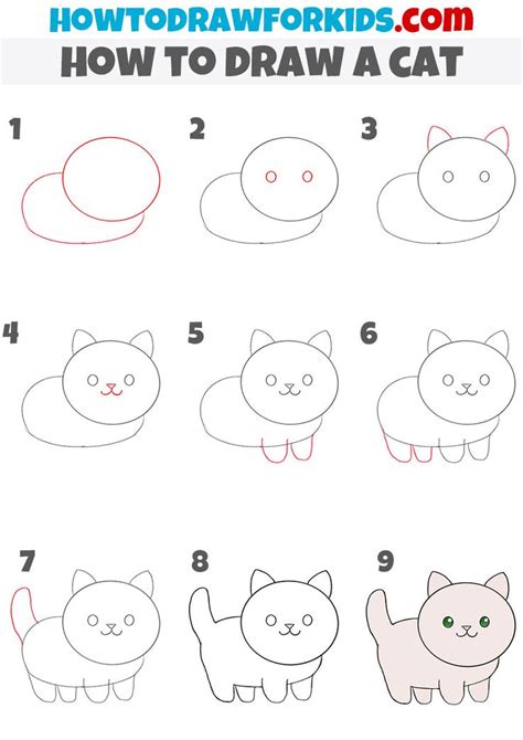 How to Draw a Cat - Step by Step Guide