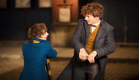 Scamander Brothers Newt Scamander Teseus Scamander Fantastic Beasts