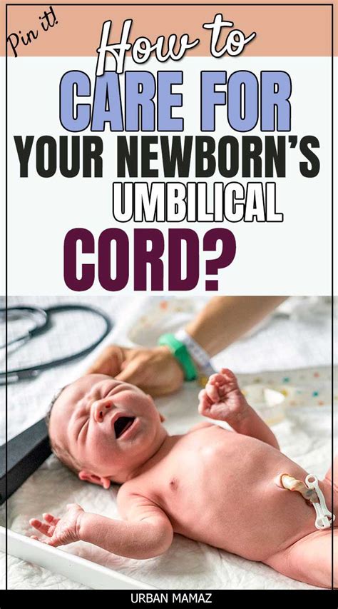 Umbilical Cord Care: Do's and Don'ts for New Parents - Urban Mamaz