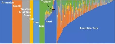 turkification  anatolia tales  romes  conquerors
