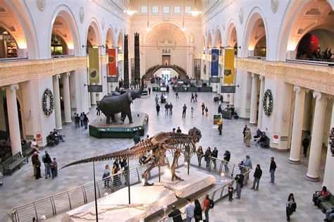 Field Museum of Natural History in Chicago - Discover the History of