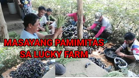 MASAYANG PAMIMITAS SA LUCKY FARM NI KABUDDY MACKI MOTO YouTube