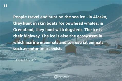 36 Ice Quotes That Remind Us To Protect All Of Nature 2024