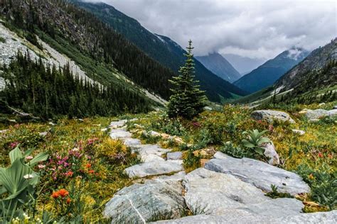 Balu Pass Glacier National Park British Columbia Canada [oc] [5568x3712] Glacier National Park