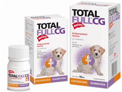 Total Full Perros Medianos Mallen Mascotas