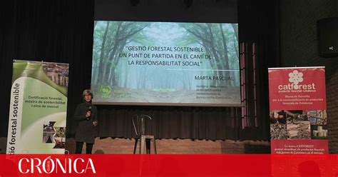 Los Forestales Ensalzan El Certificado Pefc Como Garant A De La