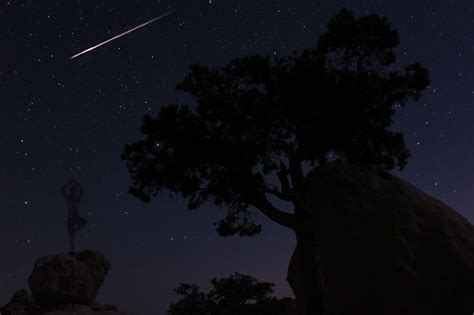 Brilliant Meteor Shower and Comet ISON Grace August Night Sky | Space