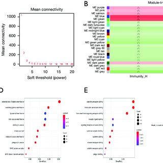 Construction Of Weighted Co Expression Network And Identification Of