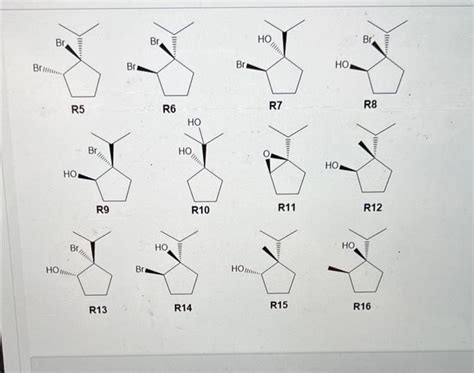 [solved] All One Question Question 12 What Products Would Y