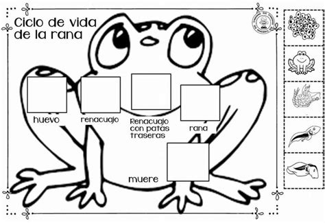 Estupendo material didáctico para enseñar y aprender sobre el ciclo de