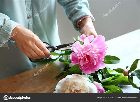 Woman making bouquet of beautiful peonies at table Stock Photo by ...