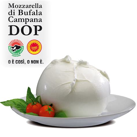 Mozzarella di Bufala Campana DOP storia e proprietà nutrizionali