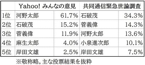 次の首相、本当の「人気no1」は誰？ 「結果が違いすぎ」の世論調査とネット投票、どうやって集計してるの？ J Cast ニュース【全文表示】