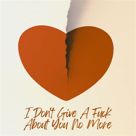 I Don T Give A Fuck About You No More By Various Artists On TIDAL