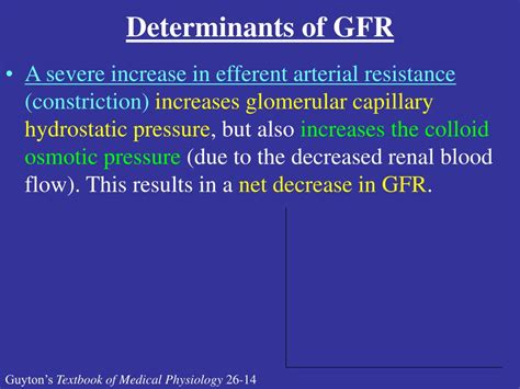 Ppt Determinants Of Gfr Powerpoint Presentation Free Download Id