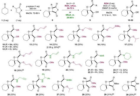 Synthesis of functionalized spirocyclic oxetanes through PaternòBüchi