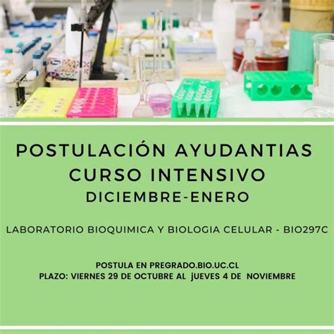 Postulaci N Ayudantias Curso Intensivo Primer Semestre Programas