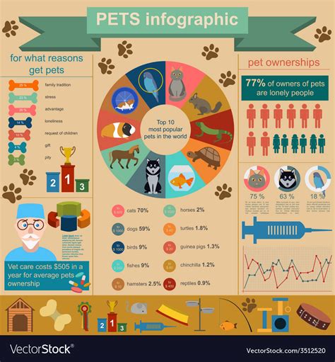 Domestic Pets Infographic Elements Helthcare Vet Vector Image