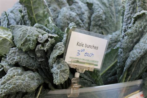 Farmers are reacting to berry price drops at local markets 24