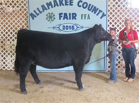 Allamakee County Fair | Iowa | Lautner Farms