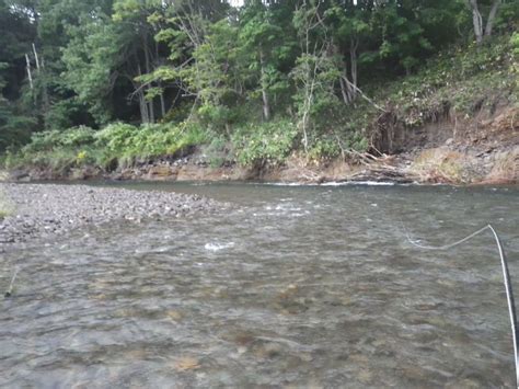 北海道 尻別川の釣り 20220827pm 水位が高いので上流に来てみた さっぽろ発 9割がグルメ記事