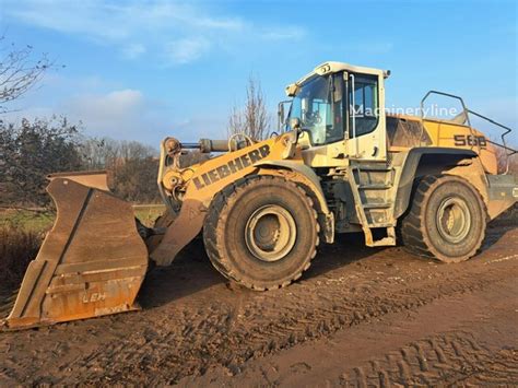 Prodaja Liebherr L 566 Xpower Prednjeg Utovarivača Iz Nemačke Kunde