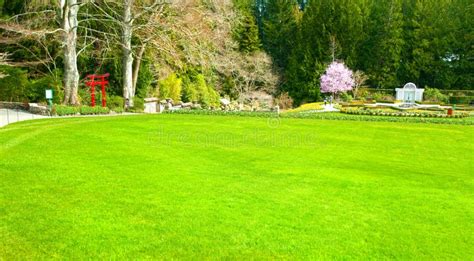 Lush Green Lawn Garden In The Spring With Lush Colors Victoria Canada Stock Image Image Of