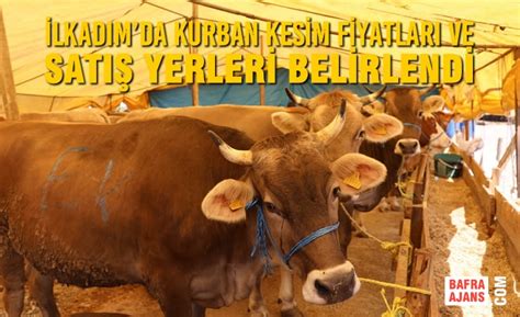 Lkad Mda Kurban Kesim Fiyatlar Ve Sat Yerleri Belirlendi Bafra