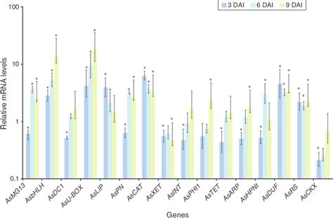 Relative Mrna Levels Of 16 Candidate Genes In Arachis Stenosperma Roots