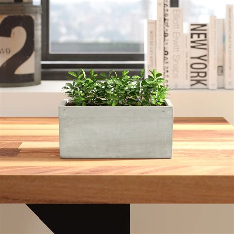 Milian Handmade Pot Planter Foter