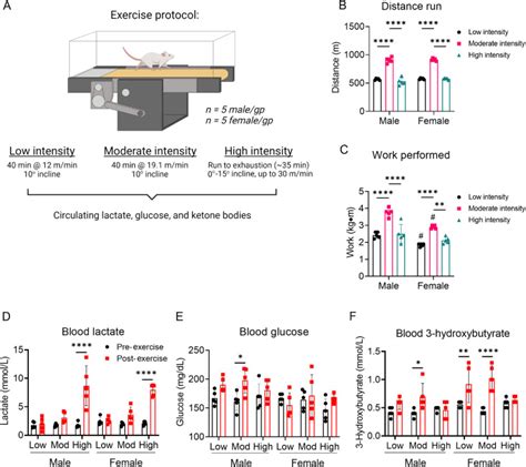 Influence Of Biological Sex And Exercise On Murine Cardiac Metabolism Pmc